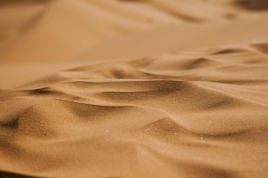 Sahara çöl, merzouga