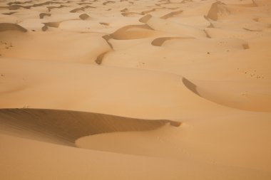 Fas çöl dune, merzouga