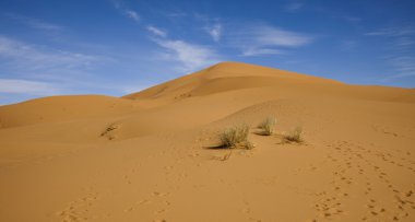 Dunes Fas Sahara