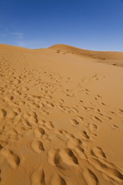 çöl manzarası, merzouga, marocco