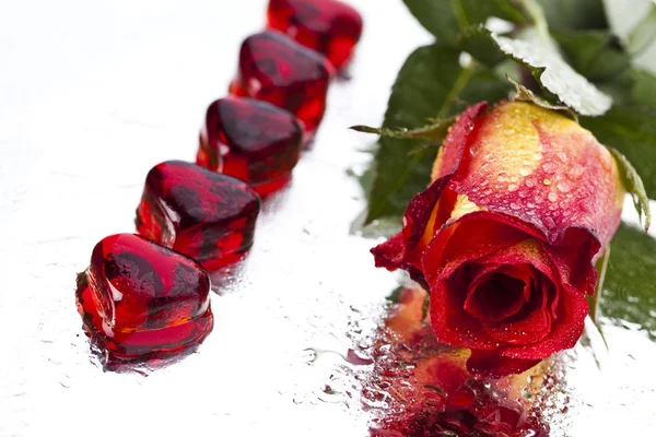 Роза с сердцем для любви — стоковое фото