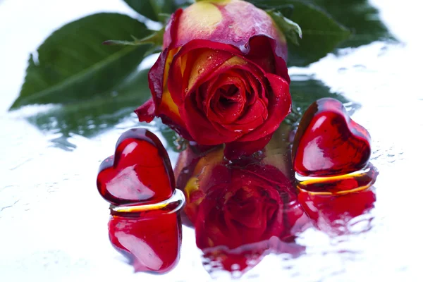 Rosa e coração — Fotografia de Stock