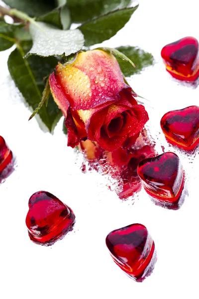 Любовь, День святого Валентина — стоковое фото