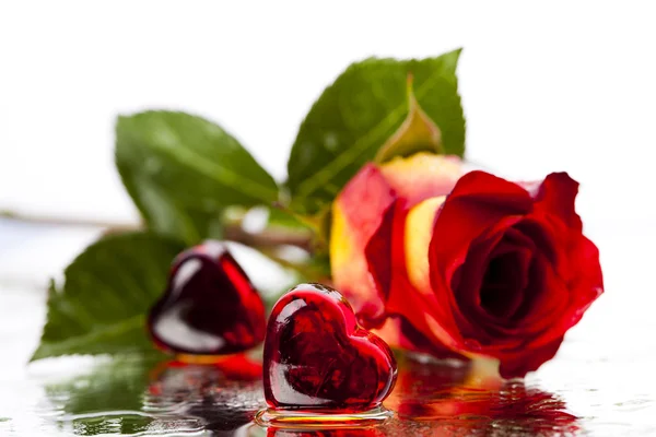 Růže a srdce — Stock fotografie