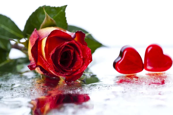 Роза и сердце — стоковое фото