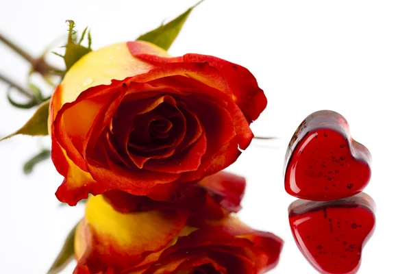 Róża i serca — Zdjęcie stockowe