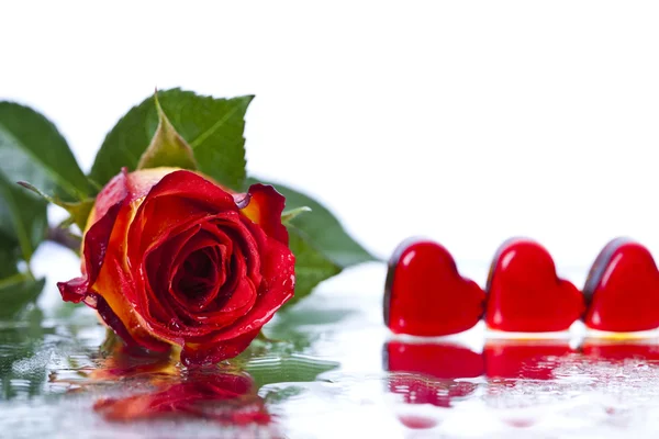 Rose et coeur — Photo