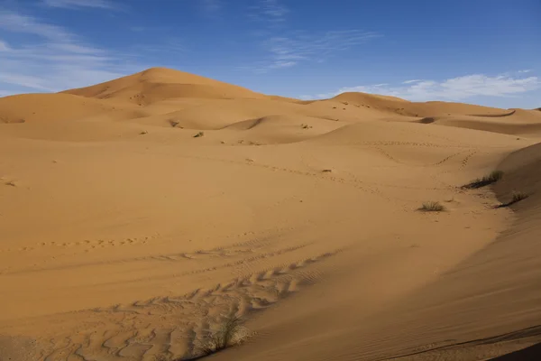 Duna del desierto marroquí, merzouga — Foto de Stock