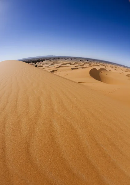 사막 풍경, 주가, marocco — 스톡 사진