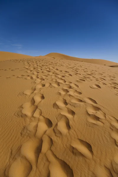 Marokański pustynia, merzouga — Zdjęcie stockowe