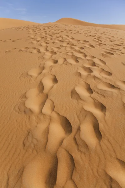 Desierto de arena con dunas en Marocco, merzouga — Foto de Stock