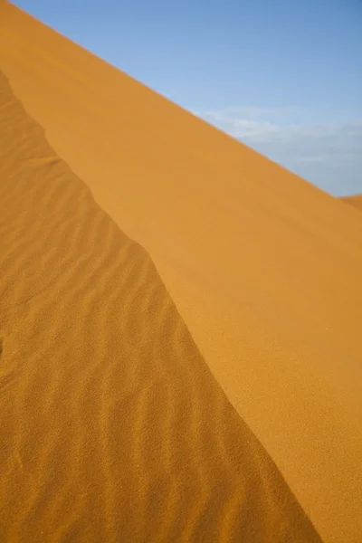 Dünen in der marokkanischen Sahara — Stockfoto