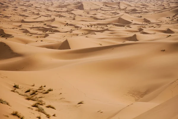 Deserto di sabbia con dune in Marocco, merzouga — Foto Stock