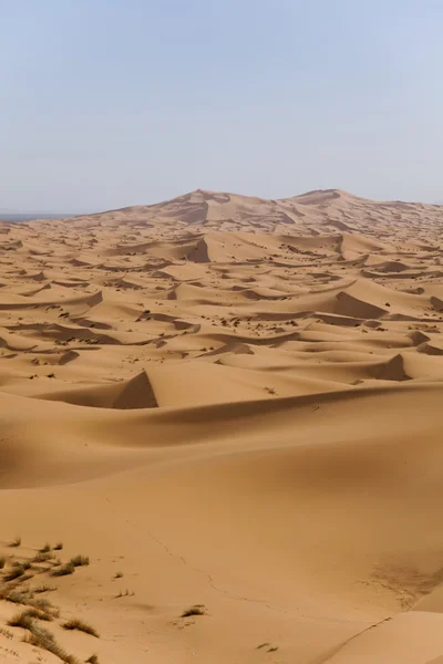 Duny v marocké sahara — Stock fotografie