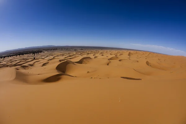 Desierto de arena con dunas en Marocco, merzouga — Foto de Stock