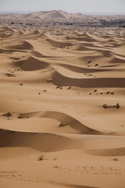 Duinen in Marokkaanse sahara — Stockfoto