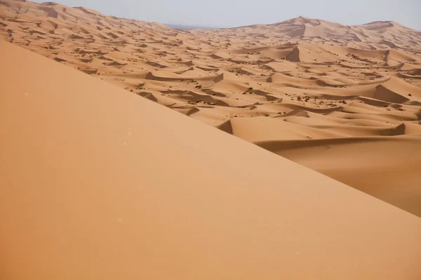 Deserto di sabbia con dune in Marocco, merzouga — Foto Stock