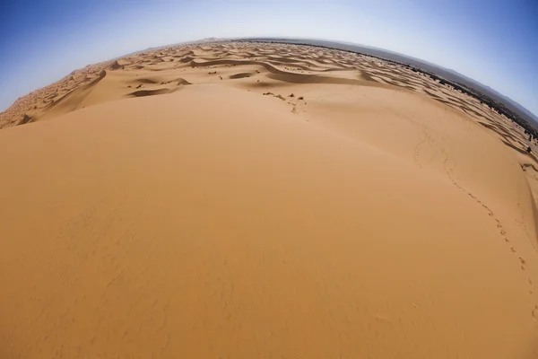Άμμο της ερήμου με αμμόλοφους στην merzouga Μαρόκο — Φωτογραφία Αρχείου