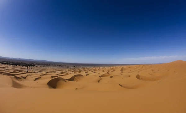 Desert sand — Stock Photo, Image