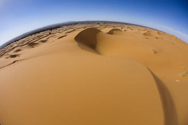 Έρημο άμμο — Φωτογραφία Αρχείου