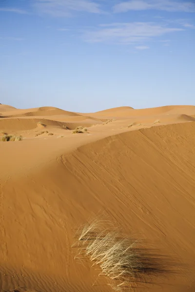 Песчаные пейзажи пустыни — стоковое фото