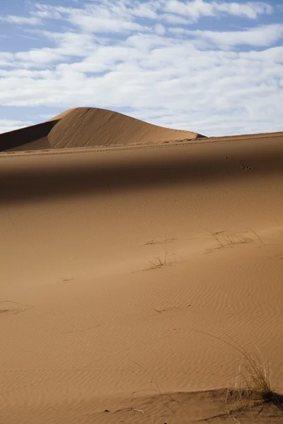 Homokképek a sivatagban — Stock Fotó