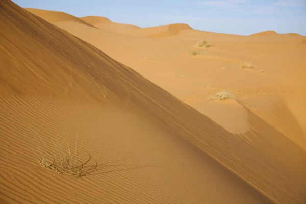Pouštní duny v Maroku — Stock fotografie