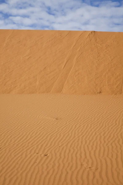 砂漠の風景、メルズーガ, モロッコ — ストック写真