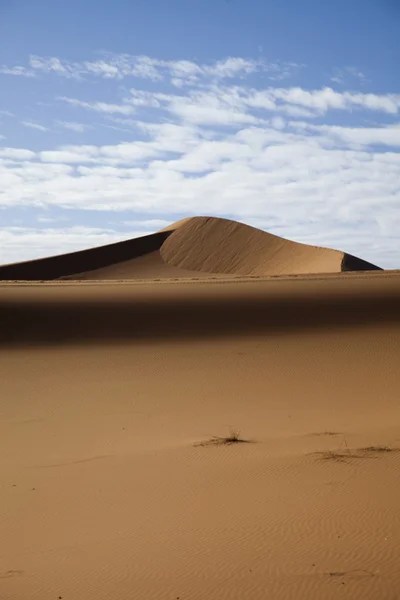Woestijn duinen in Marokko — Stockfoto