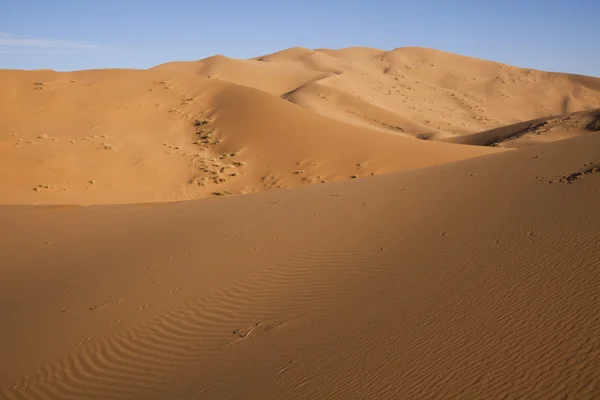 Пустеля дюни в Марокко — стокове фото
