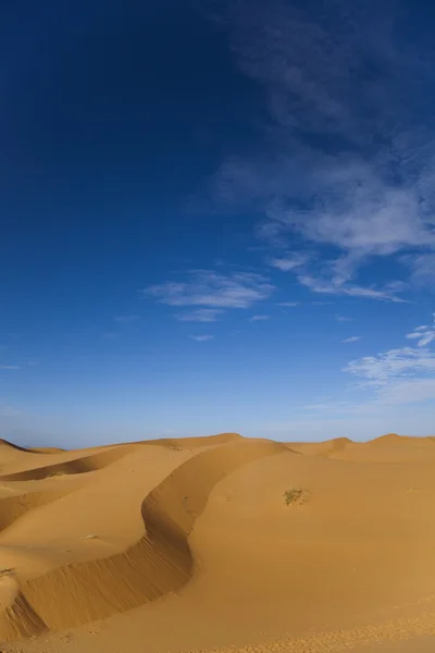 Sivatagi táj, merzouga, Marokkó — Stock Fotó