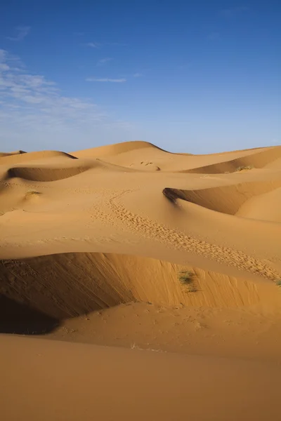 Dunas del desierto en Marruecos — Foto de Stock