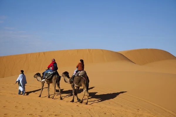 stock image Desert dunes in Morocco