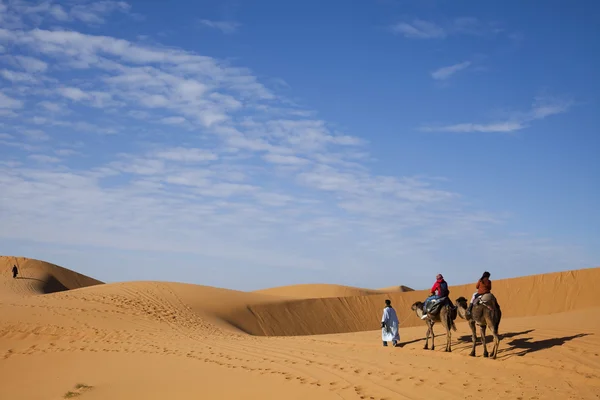 Deserto del Sahara, merzouga — Foto Stock
