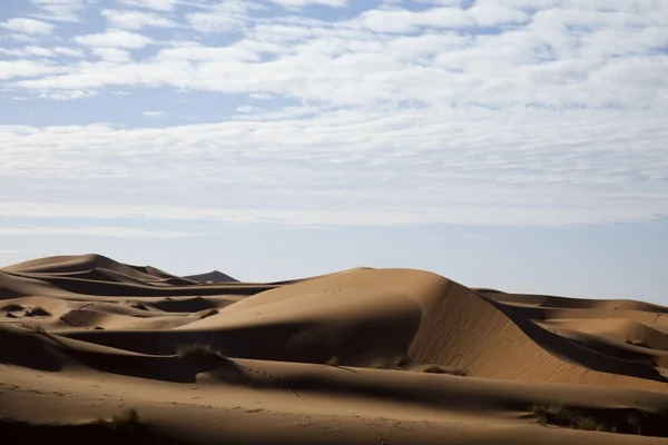 Desierto del Sahara, merzouga —  Fotos de Stock