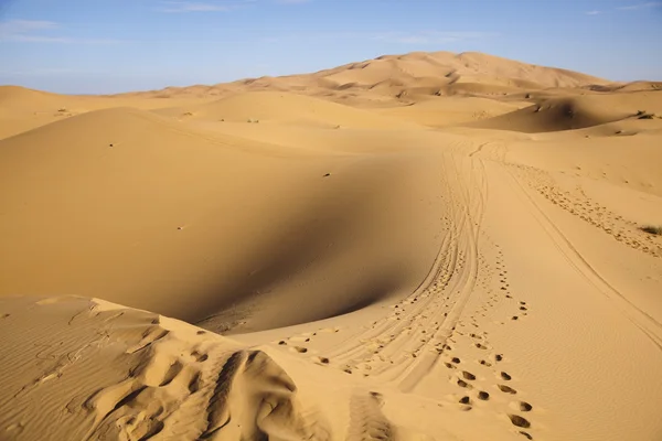 Marockanska öknen dune, merzouga — Stockfoto