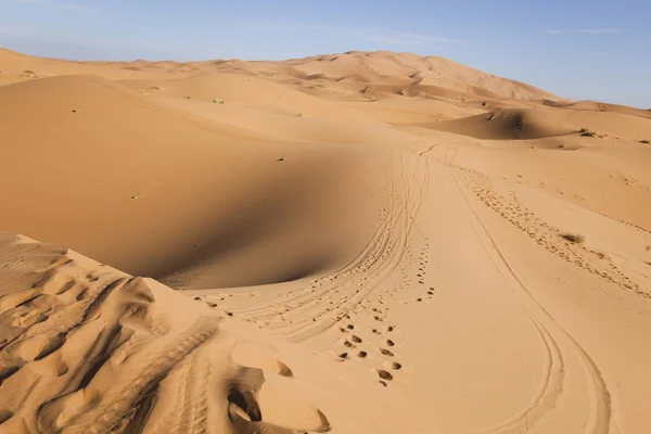 ทะเลทรายโมร็อกโก เมอร์ซูก้า — ภาพถ่ายสต็อก