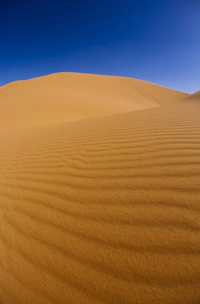 Szahara sivatag, merzouga — Stock Fotó