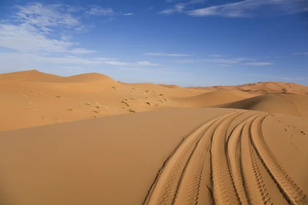 ทะเลทรายโมร็อกโก เมอร์ซูก้า — ภาพถ่ายสต็อก