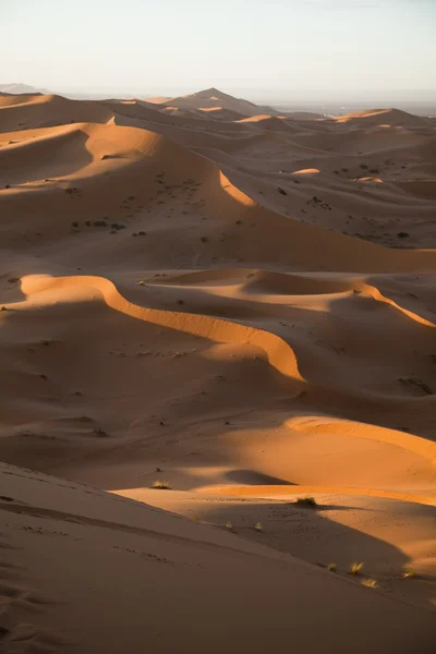 Sahara woestijn, merzouga — Stockfoto