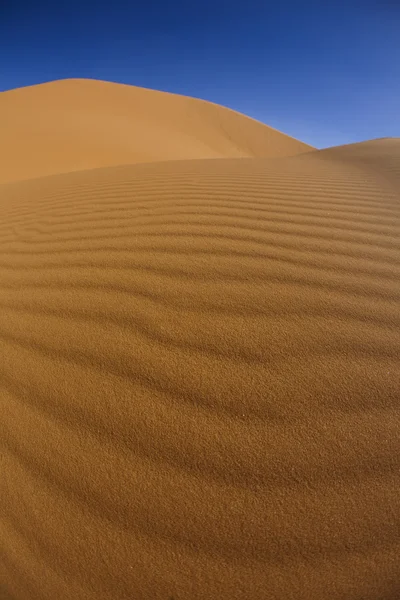 Duna do deserto marroquino, merzouga — Fotografia de Stock