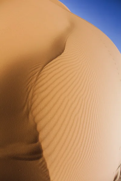 Sahara çöl, merzouga — Stok fotoğraf