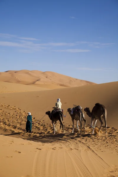 stock image Moroccan desert dune, merzouga