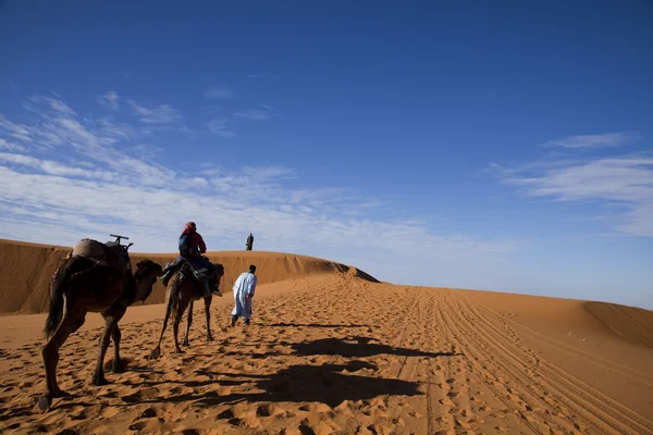 stock image Dunes in Moroccan Sahara