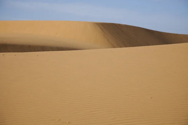 沙漠景观、 梅尔祖加、 摩洛哥 — 图库照片