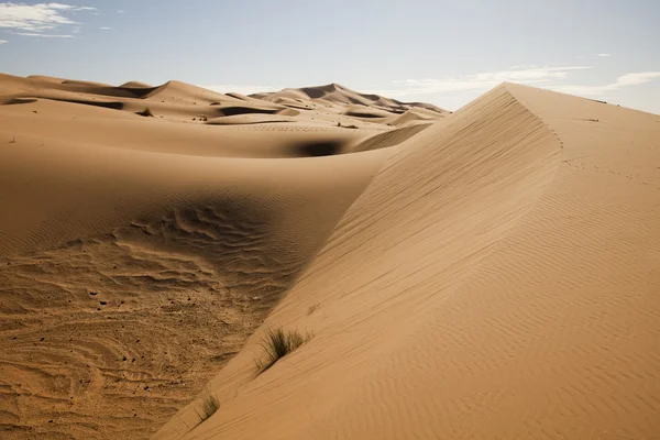 Пустынный пейзаж, мерзуга, марокко — стоковое фото