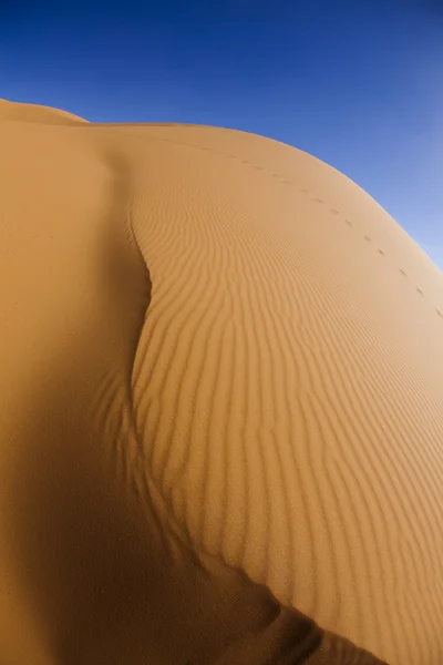 Sivatagi táj, merzouga, Marokkó — Stock Fotó