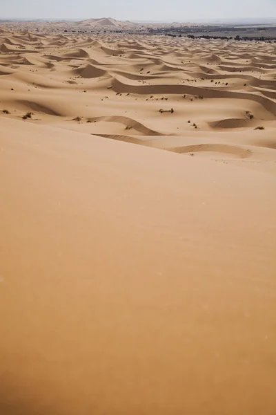 Θίνες στη μαροκινή Σαχάρα — Φωτογραφία Αρχείου