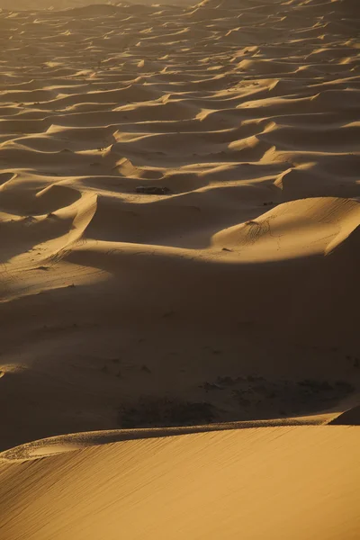 Пустельний пейзаж, Мерзуга, марокко — стокове фото