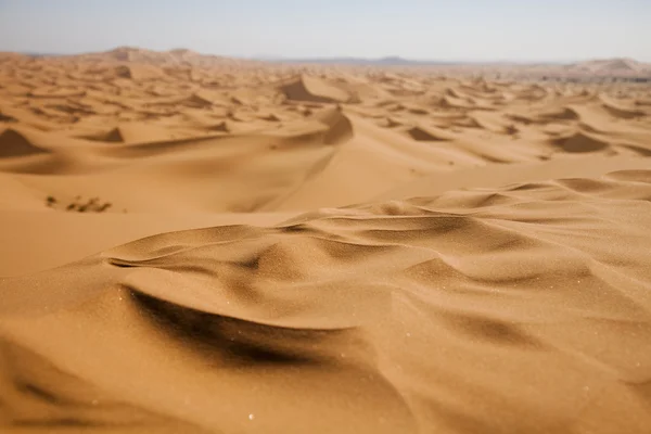 Desert landscape, merzouga, marocco — Stock Photo, Image